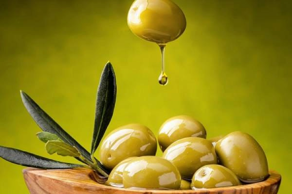 تصویر 4 از قیمت خرید زیتون رویال طارم با فروش عمده